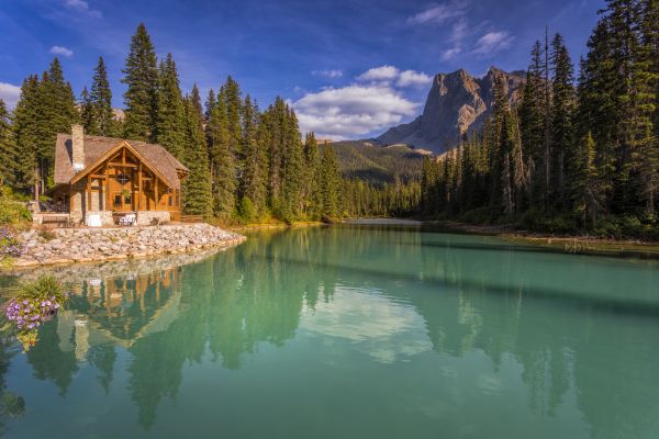 Cabin Building