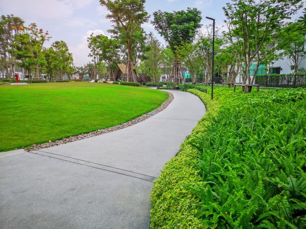 Cement Walkway Service in Aurora