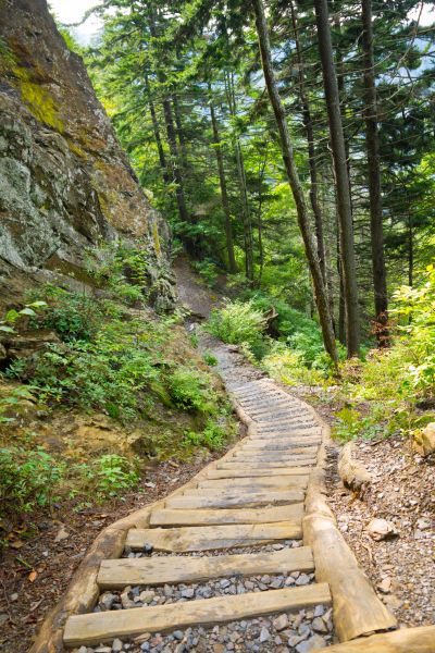 Trail Creation