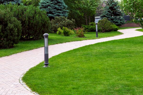 Backyard Sidewalk Installation in Aurora